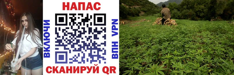 Продажа наркотиков Демидов ГАШИШ блэк спрут ССЫЛКА МЕТАМФЕТАМИН Меф СОЛЬ